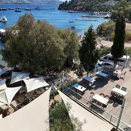 Farrys Boutique & Club -
