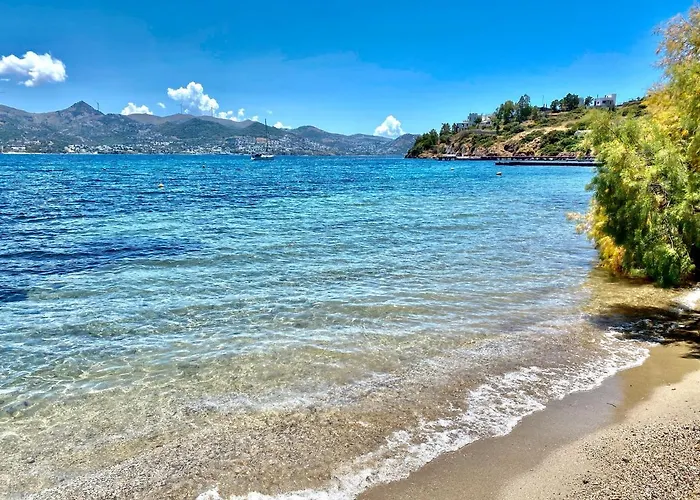 Hotel Farrys Boutique & Club - *