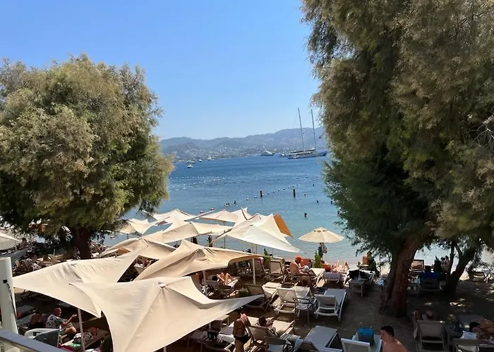 Farrys Boutique & Club -